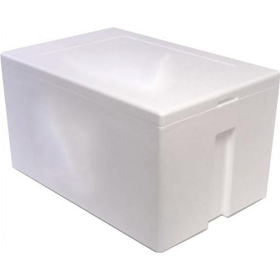 Styrofoam Cooler, Ice Chest (47qt) – Lightweight, Insulated Foam Cooler for Travel, Camping, Fishing, and Outdoor Events