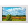 thumbnail image 1 of Su, Keren 14x10 White Modern Wood Framed Museum Art Print Titled - Farmland and flower fields-Estonia, 1 of 4