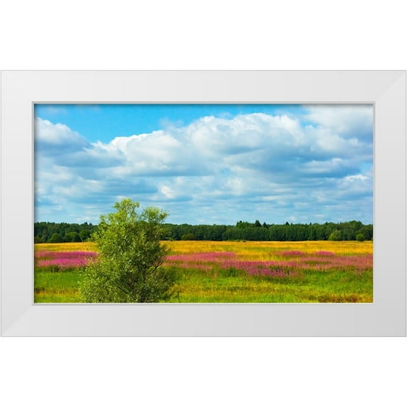 Su, Keren 14x10 White Modern Wood Framed Museum Art Print Titled - Farmland and flower fields-Estonia