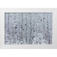thumbnail image 1 of Su, Keren 14x11 White Modern Wood Framed Museum Art Print Titled - Bald Eagles perched on trees covered with snow-Haines-Alaska-USA, 1 of 4