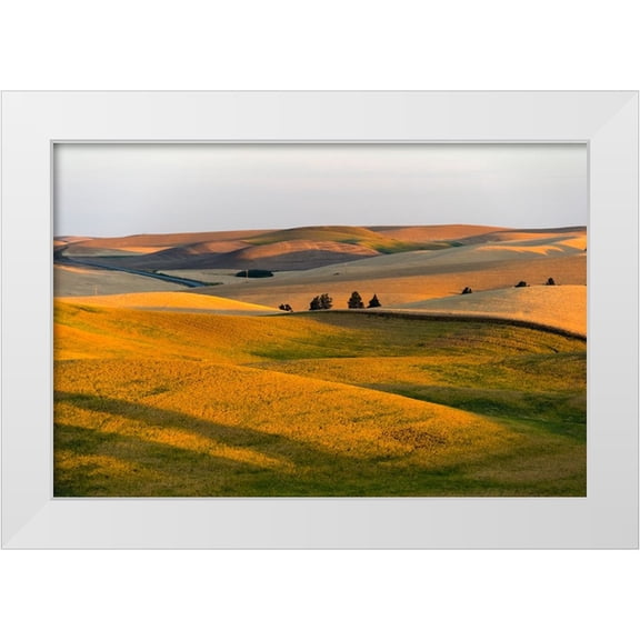 Su, Keren 18x13 White Modern Wood Framed Museum Art Print Titled - Landscape of rolling wheat field at sunrise-Palouse-Washington State-USA