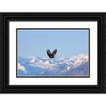 thumbnail image 1 of Su, Keren 32x22 Black Ornate Wood Framed with Double Matting Museum Art Print Titled - Bald Eagle flying over snow mountain-Haines-Alaska-USA, 1 of 4