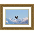 thumbnail image 1 of Su, Keren 32x22 Gold Ornate Wood Framed with Double Matting Museum Art Print Titled - Bald Eagle flying over snow mountain-Haines-Alaska-USA, 1 of 4