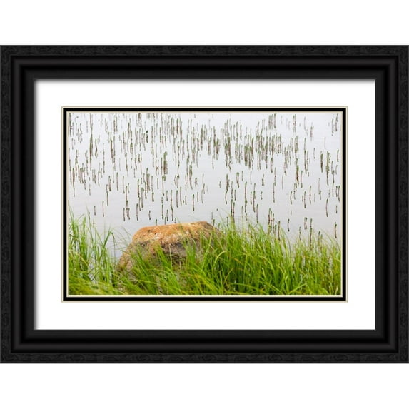 Su, Keren 32x23 Black Ornate Wood Framed with Double Matting Museum Art Print Titled - Plant and rock in the glacier river-Yttygran Island-Bering Sea-Russia Far East