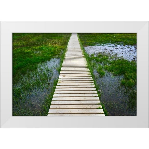 Su, Keren 32x23 White Modern Wood Framed Museum Art Print Titled - A plank pathway in Landmannalaugar-Iceland