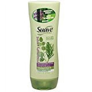 Suave Professionals Rosemary Mint Conditioner (Pack of 20) - Walmart.com