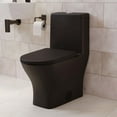 thumbnail image 1 of Sublime II One-Piece Round Toilet Dual-Flush 1.1/1.6 gpf in Matte Black, 1 of 14