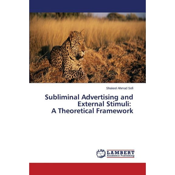 Subliminal Advertising and External Stimuli: A Theoretical Framework (Paperback)