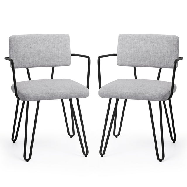 Subrtex Dining Chairs Set of 2, Modern Dining Room Chairs with Metal