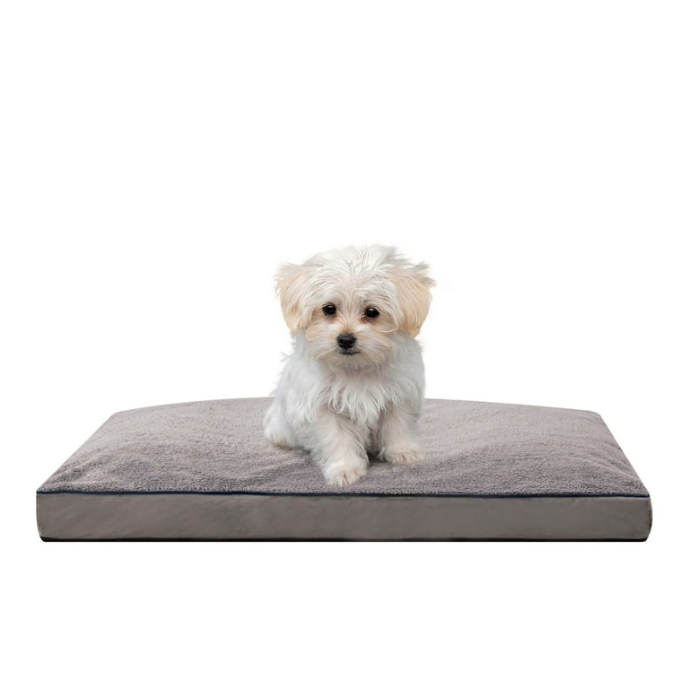 Foam for dog on sale beds