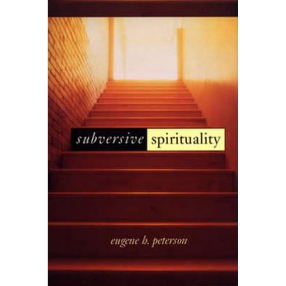 Pre-Owned Subversive Spirituality (Paperback) 1573830712 9781573830713