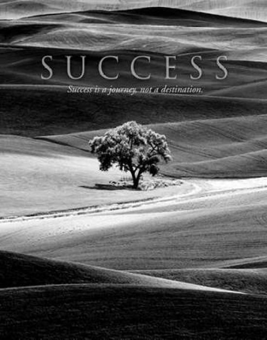 Success Canvas Art - Dennis Frates (22 x 28)