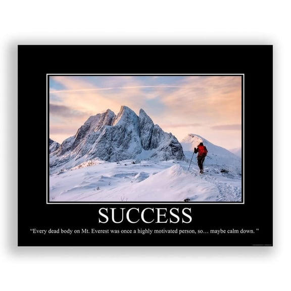 Success Demotivational Poster Snarky Ironic Funny Sarcastic Office Wall Decor Art Print