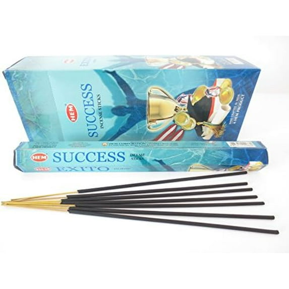 Success Incense Sticks (120 Sticks, 6 Boxes Inside) - 9 Inches Long, 20g per Box - Promote Prosperity,Personal Endeavors and Uplift Energy.$$Home Decor, Kitchen, & Other