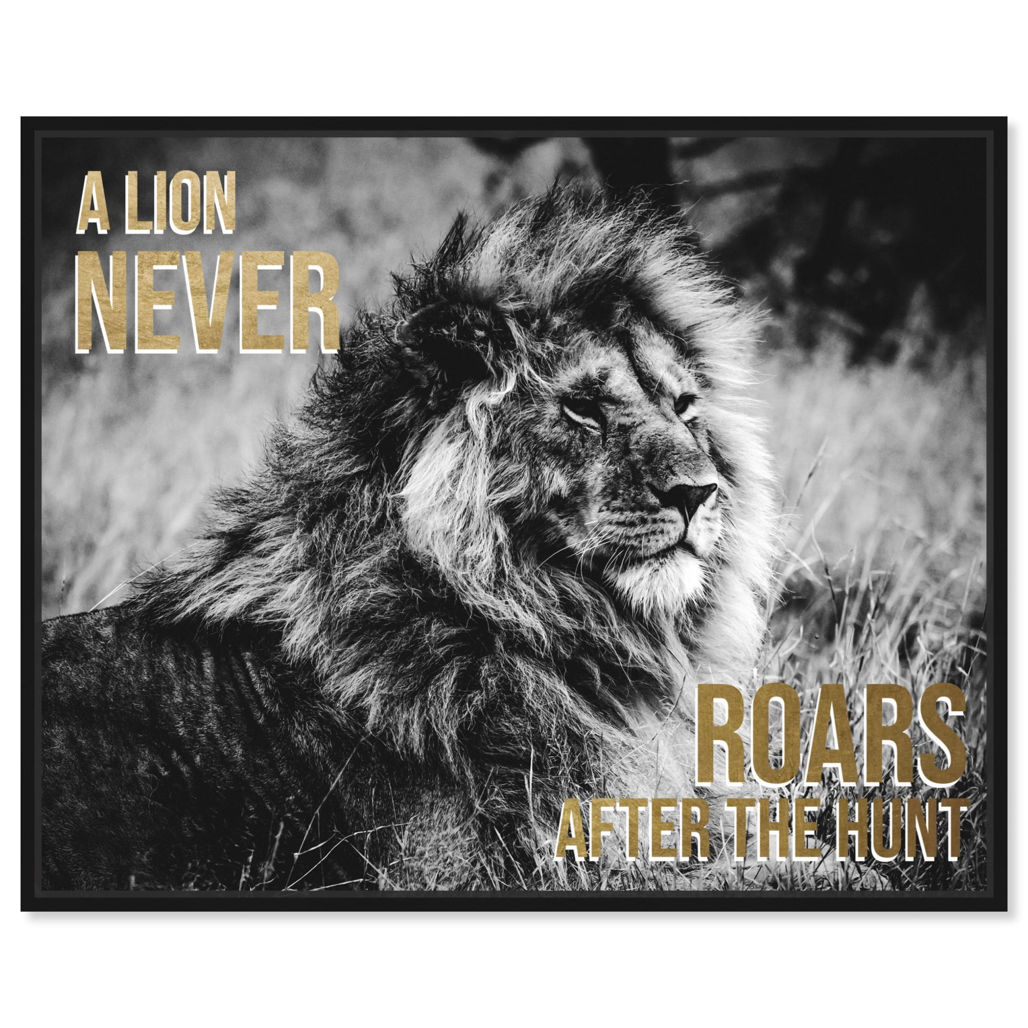 Lion Motivational Quote Canvas Print with Black Frame, 46" x 37"