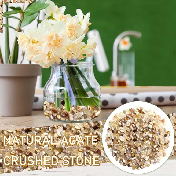 Succulent and Cactus Bonsai DIY Rocks, Jade Bean Pebbles, Natural Decorative Polished Stones Vase Fillers Gravel for Plants，Terrarium, Fairy Gardening, Indoor Outdoor Decor Ornamental Stones