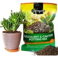 thumbnail image 1 of Succulent & Cactus Soil Potting Mix 1qt, Natural Organic Potting Mix for Cactus, Succulent, Palm, and Citrus Grown in Containers Indoors and Outdoors, 1 of 3