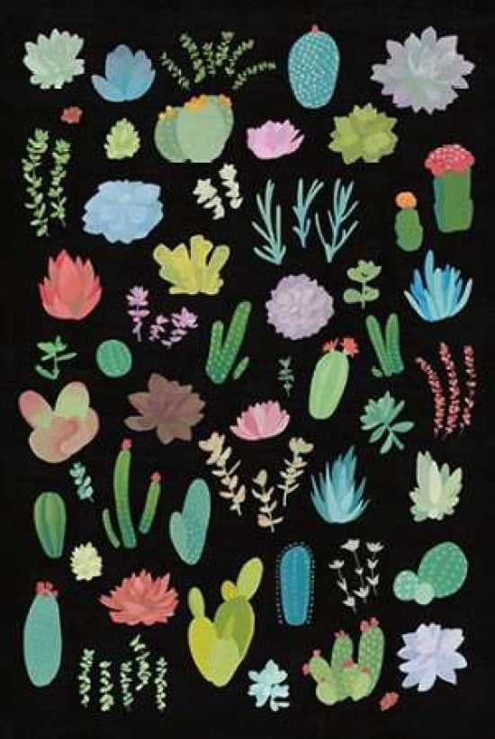 Succulent Chart I Canvas Art - Wild Apple Portfolio (12 x 18)