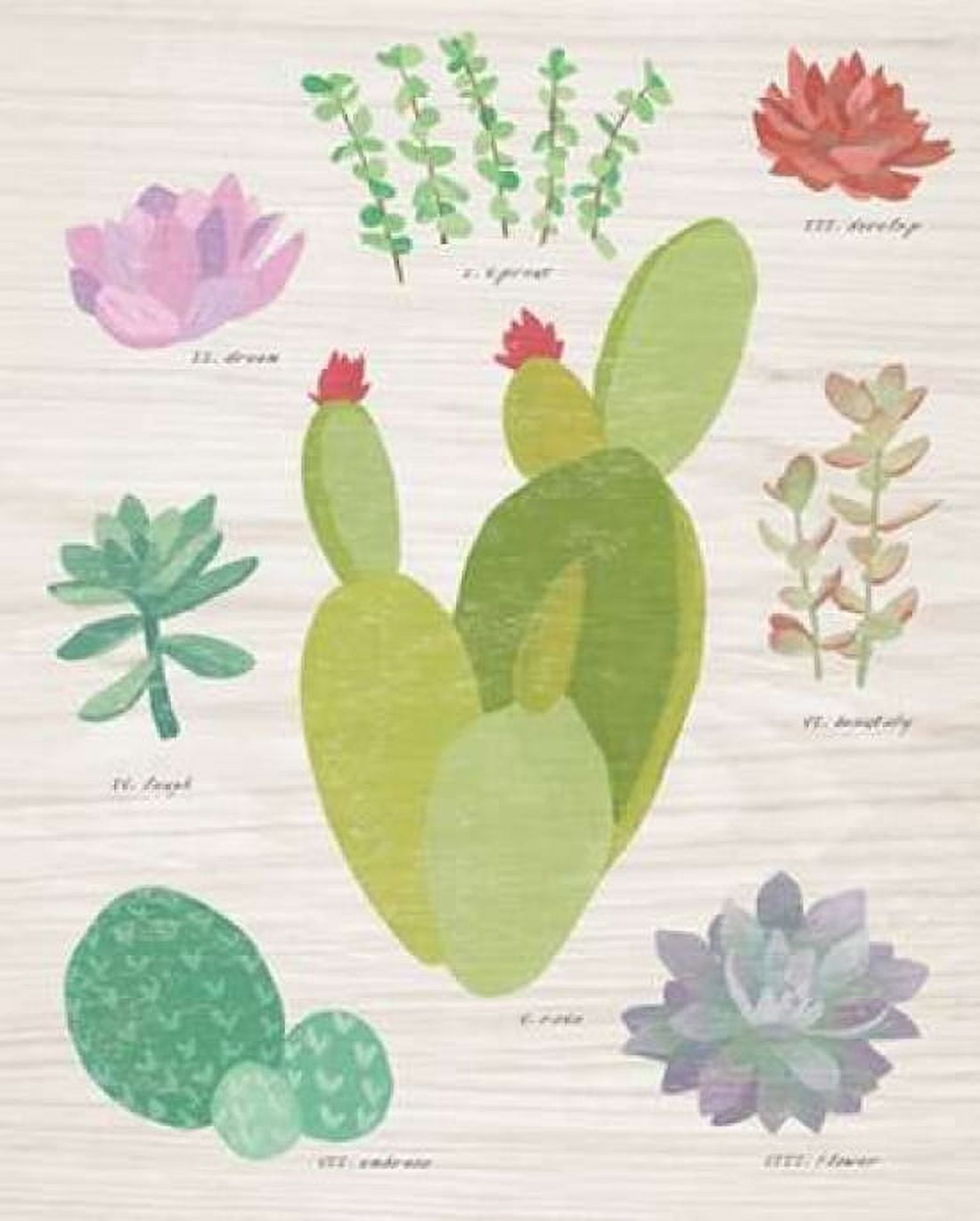 Succulent Chart III on Wood Canvas Art - Wild Apple Portfolio (24 x 30)