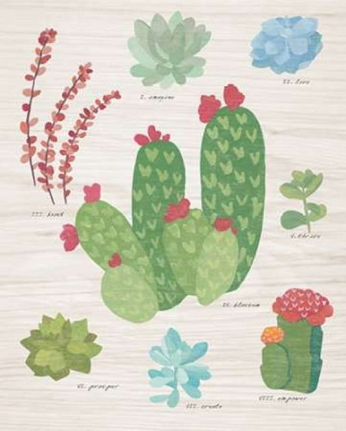 Succulent Chart IV on Wood Canvas Art - Wild Apple Portfolio (24 x 30)