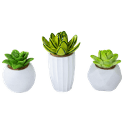 Succulent Decor Aquarium Resin Decorations for Fish Tanks - Size Small - Selection Will Vary