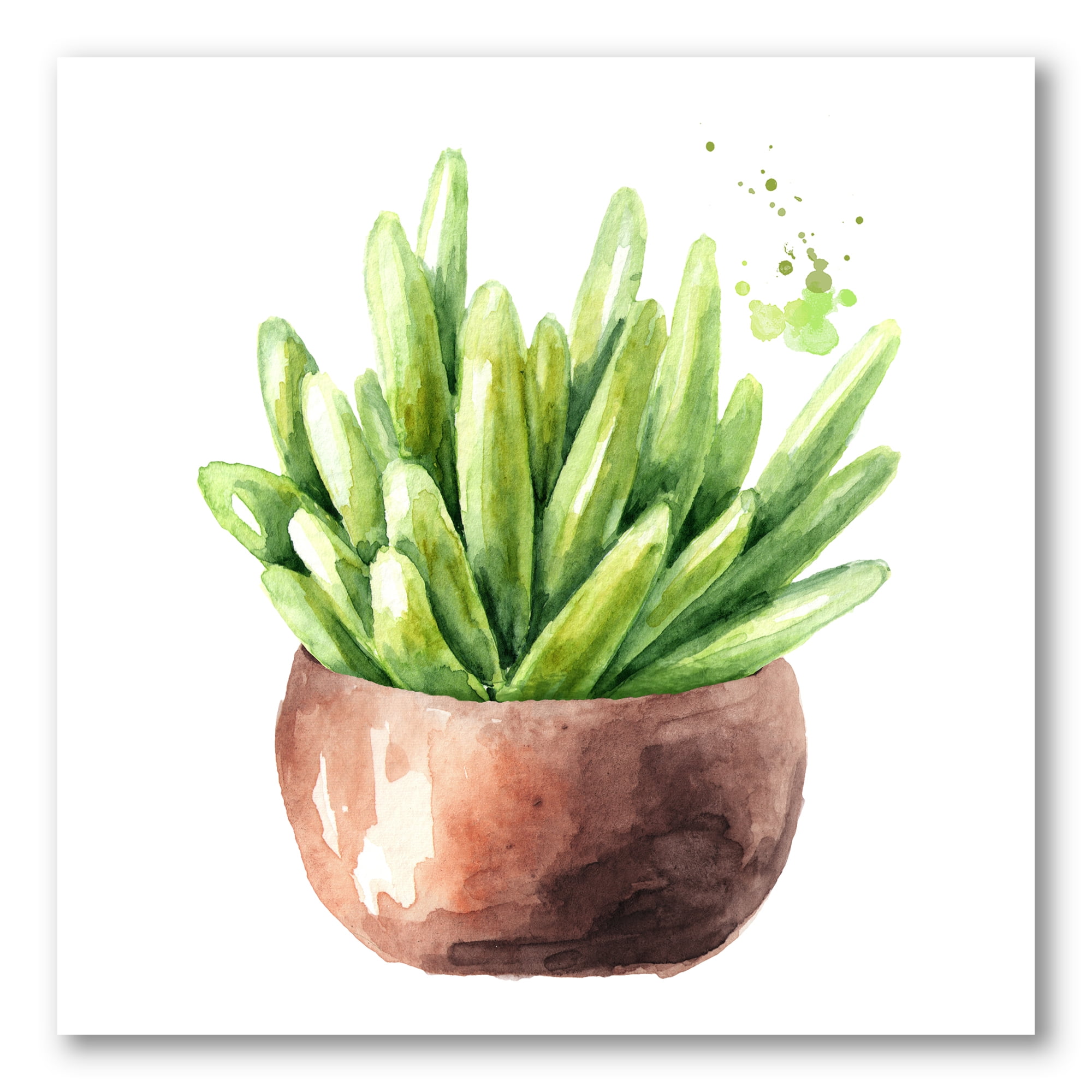 Succulent Flower In Terracotta Clypot I 30 in x 30 in Painting Canvas Art Print, by Designart