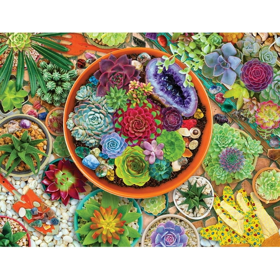 Springbok's 1000 Piece Jigsaw Puzzle Succulent Garden - Grid Cut Pieces - Made in