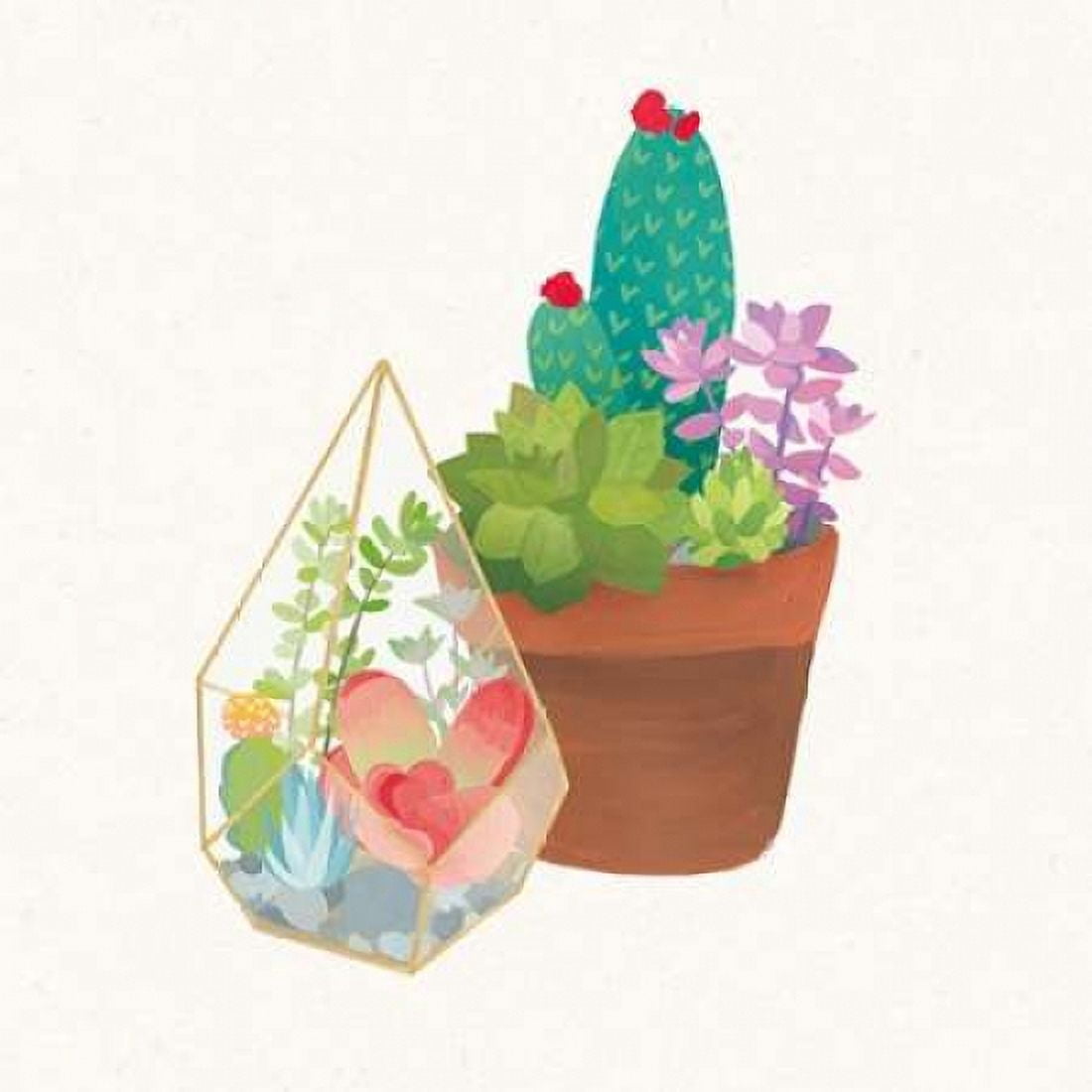 Succulent Garden I Canvas Art - Wild Apple Portfolio (24 x 24)