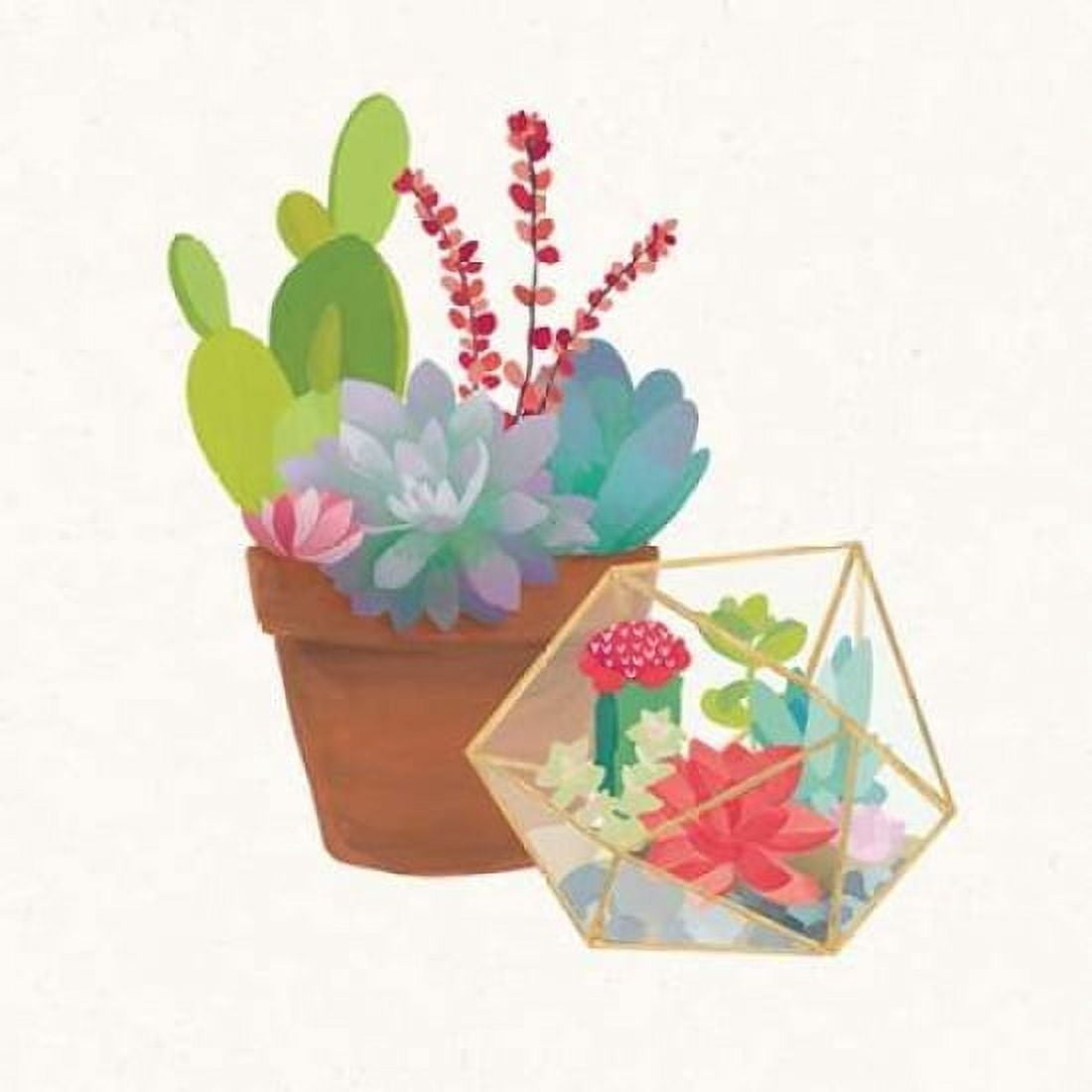 Succulent Garden II Canvas Art - Wild Apple Portfolio (24 x 24)