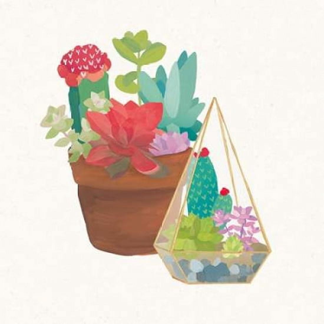 Succulent Garden IV Canvas Art - Wild Apple Portfolio (24 x 24)