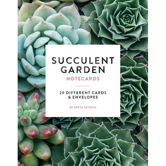 Succulent Garden Notecards: 20 Different Cards and Envelopes (Other)