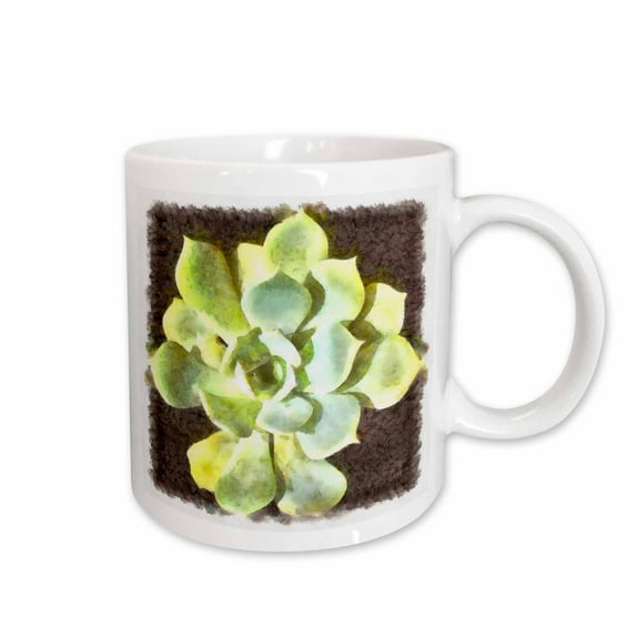 3drose, Succulent Garden Plant with Dew, 11oz Mug