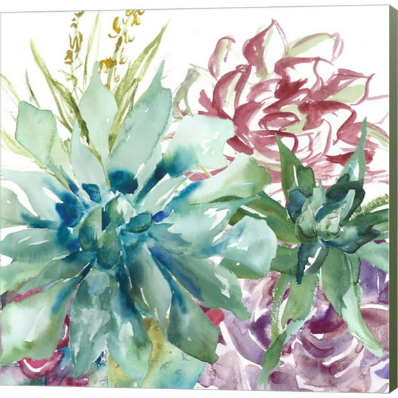Succulent Garden Watercolor II by Tre Sorelle Studios, Canvas Wall Art