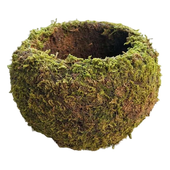 Succulent Gardening Moss Ball Natural Planter Bird Nest Flower Pot Bonsai Holder