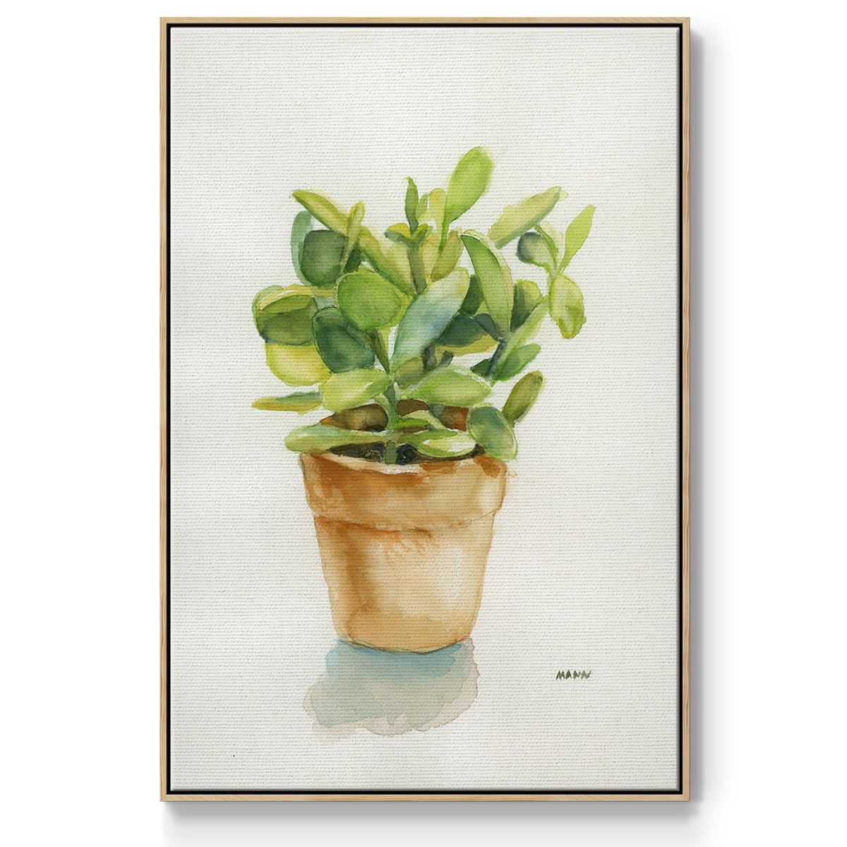 Succulent I Framed Premium Gallery Wrapped Canvas - Ready to Hang - 27 x 41 - Natural Wood Floating Frame