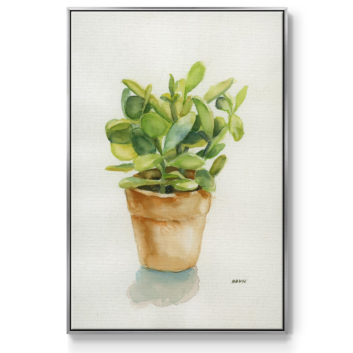 Succulent I Framed Premium Gallery Wrapped Canvas - Ready to Hang - 27 x 41 - Silver Floating Frame