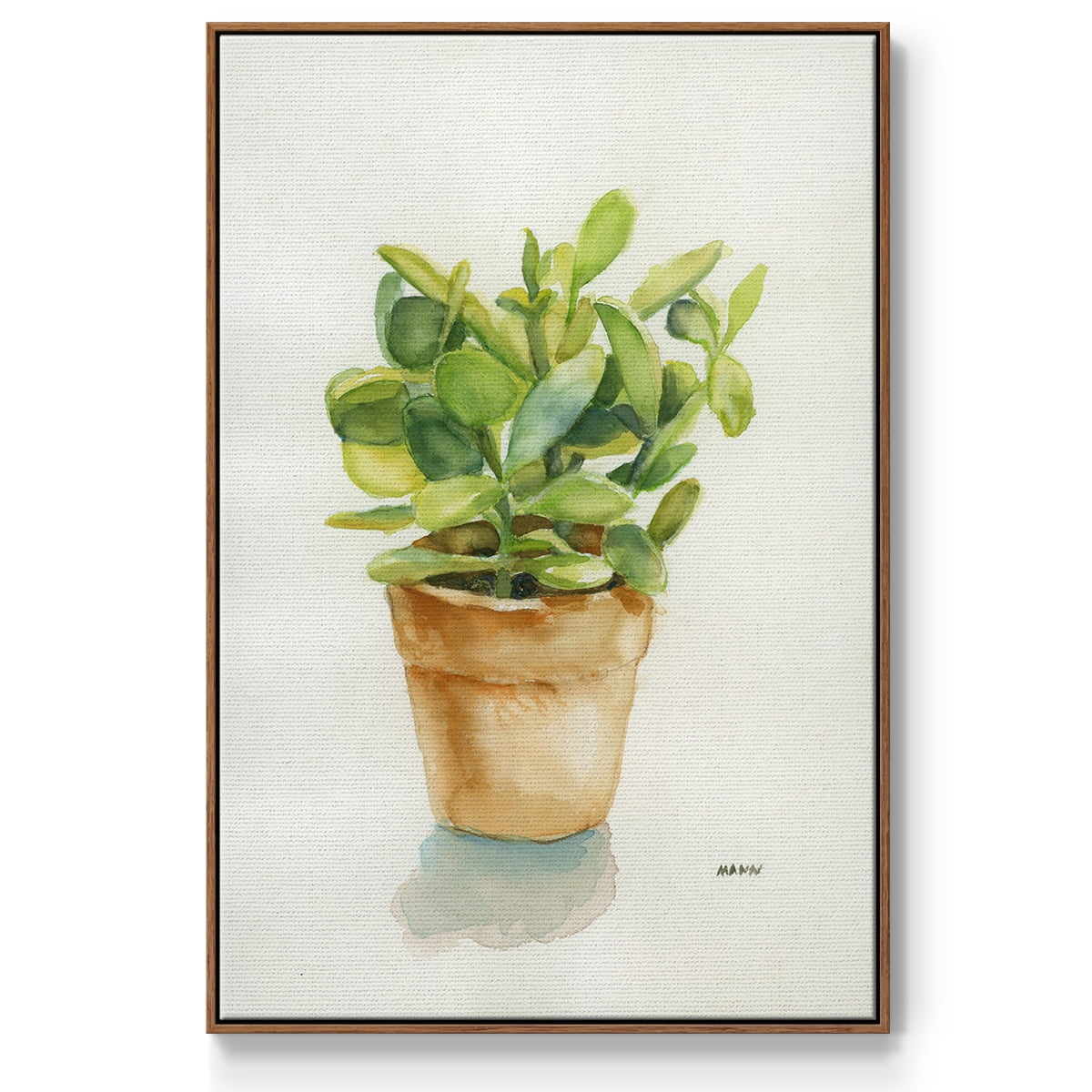 Succulent I Framed Premium Gallery Wrapped Canvas - Ready to Hang - 27 x 41 - Walnut Floating Frame