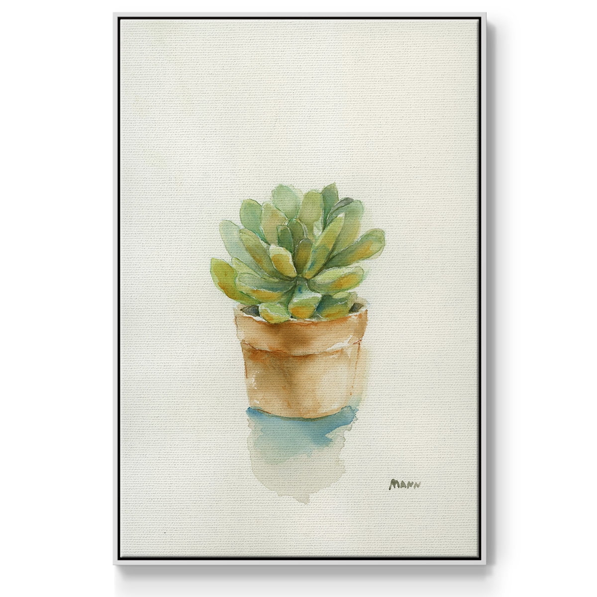 Succulent II Framed Premium Gallery Wrapped Canvas - Ready to Hang - 17 x 25 - White Floating Frame