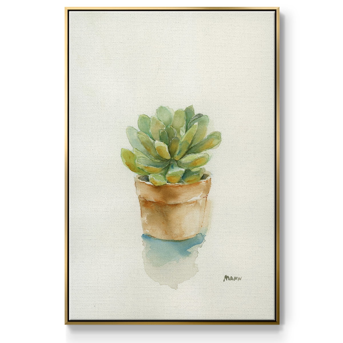 Succulent II Framed Premium Gallery Wrapped Canvas - Ready to Hang - 27 x 41 - Gold Floating Frame