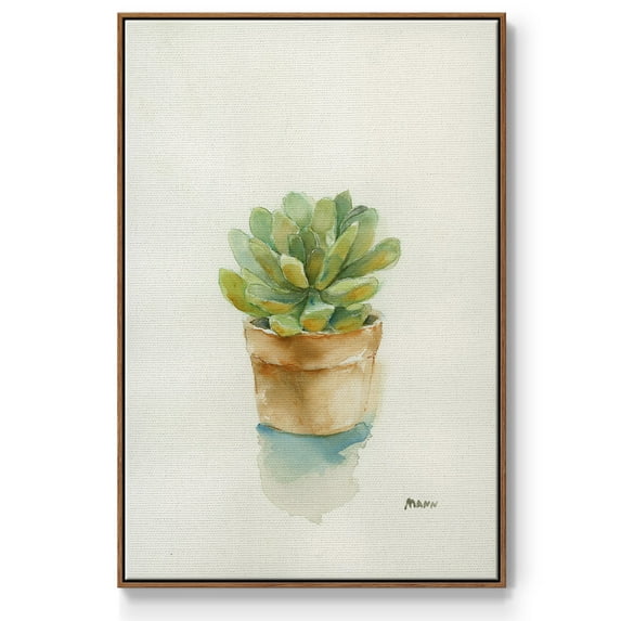 Succulent II Framed Premium Gallery Wrapped Canvas - Ready to Hang - 27 x 41 - Walnut Floating Frame