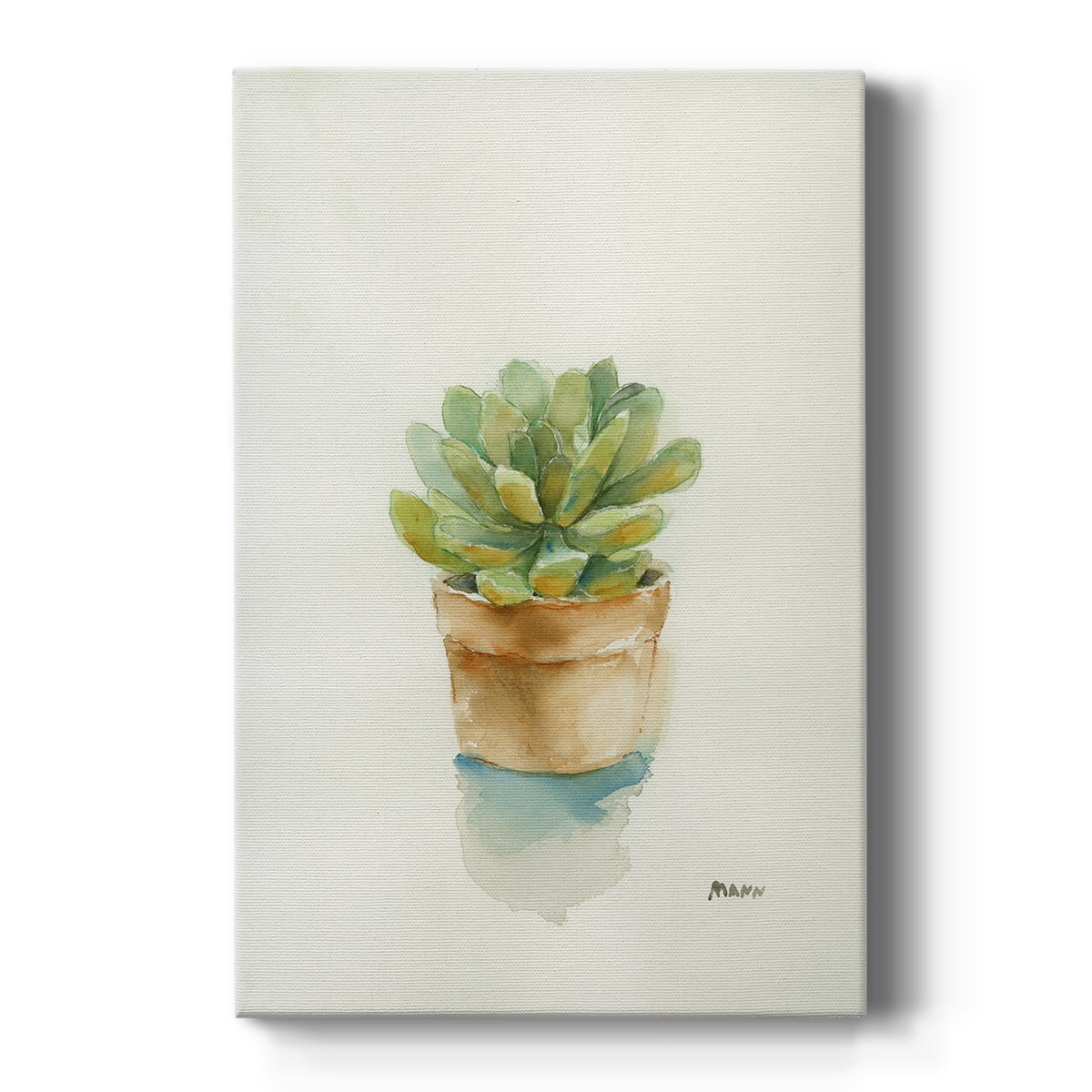 Succulent II Premium Gallery Wrapped Canvas - Ready to Hang