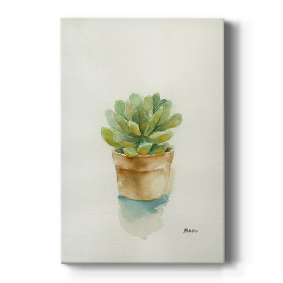 Succulent II Premium Gallery Wrapped Canvas - Ready to Hang