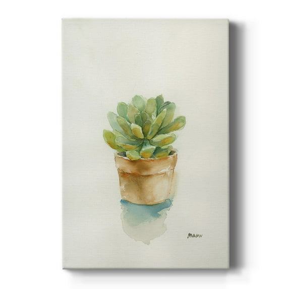 Succulent II Premium Gallery Wrapped Canvas - Ready to Hang