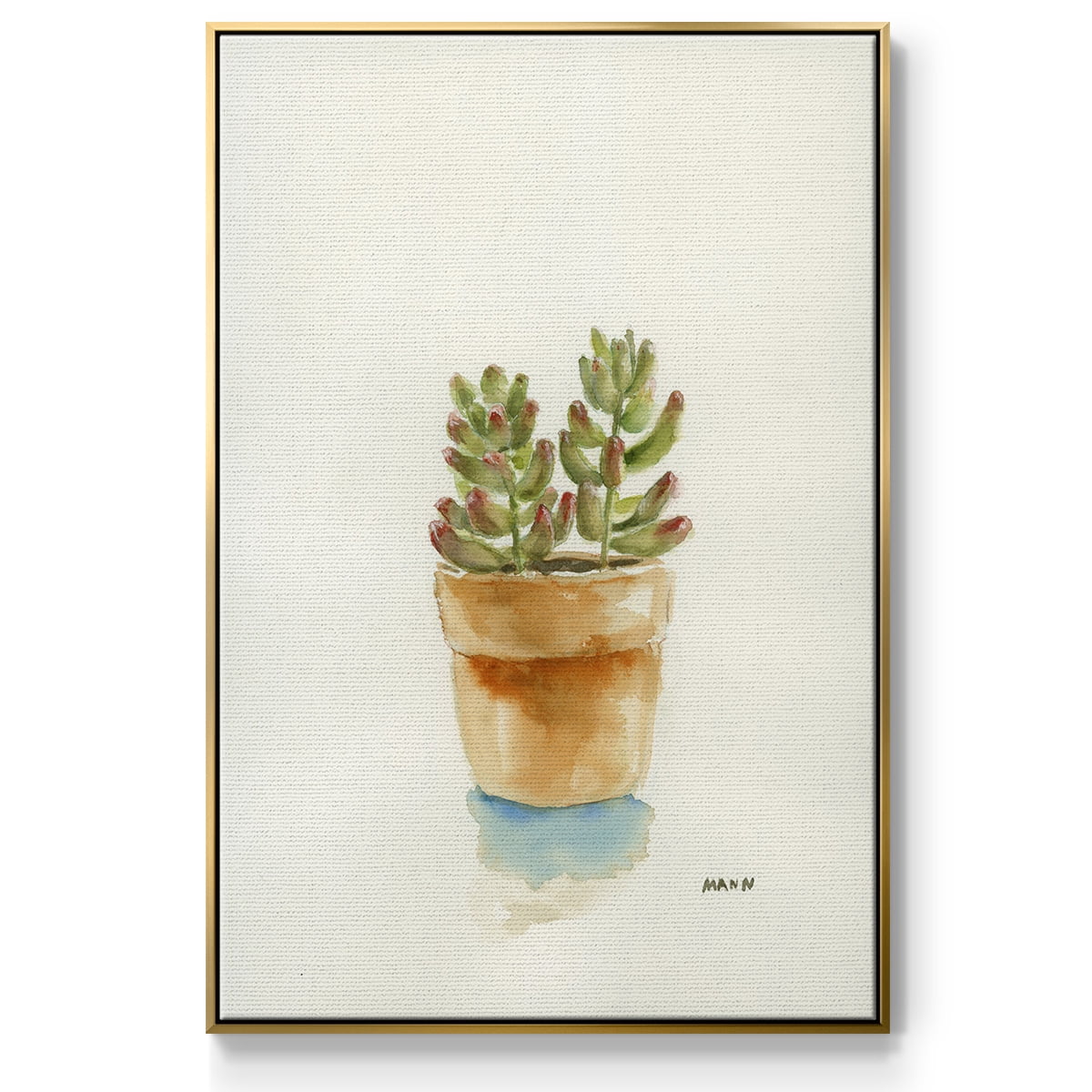 Succulent III Framed Premium Gallery Wrapped Canvas - Ready to Hang - 17 x 25 - Gold Floating Frame
