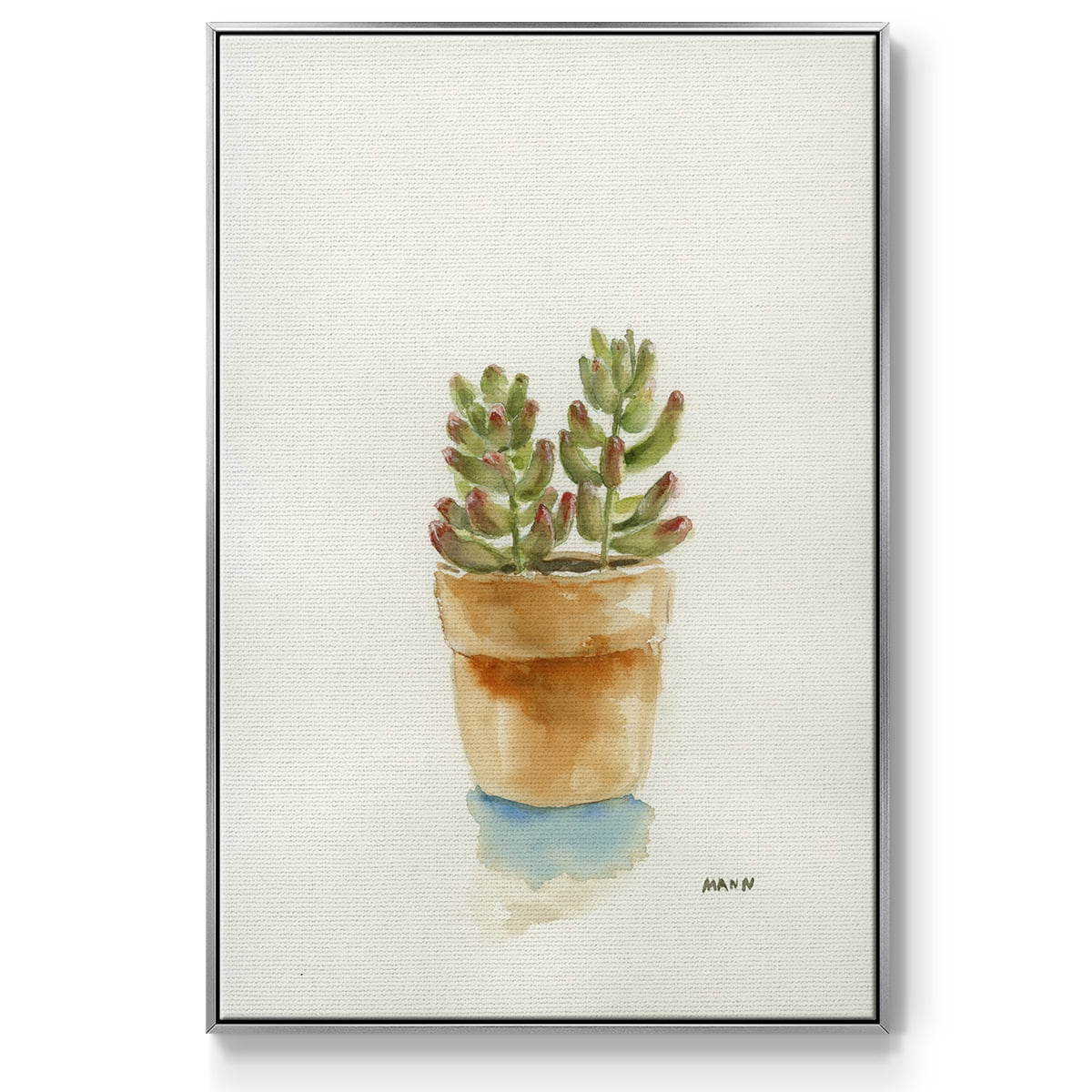 Succulent III Framed Premium Gallery Wrapped Canvas - Ready to Hang - 25 x 37 - Silver Floating Frame