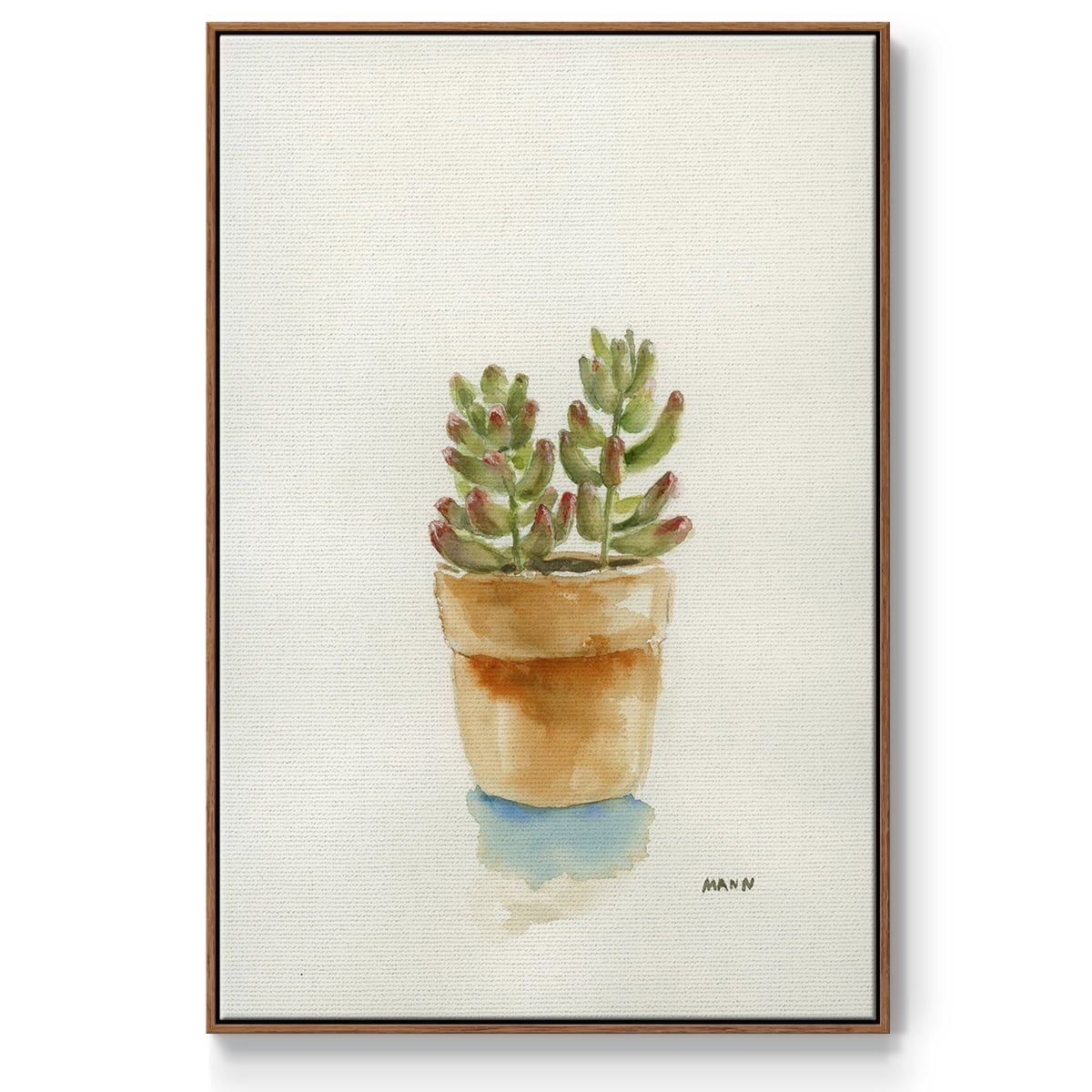 Succulent III Framed Premium Gallery Wrapped Canvas - Ready to Hang - 25 x 37 - Walnut Floating Frame