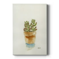 Succulent III Premium Gallery Wrapped Canvas - Ready to Hang