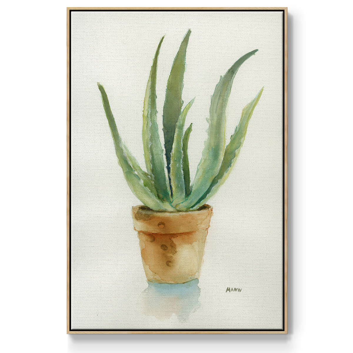 Succulent IV Framed Premium Gallery Wrapped Canvas - Ready to Hang - 17 x 25 - Natural Wood Floating Frame