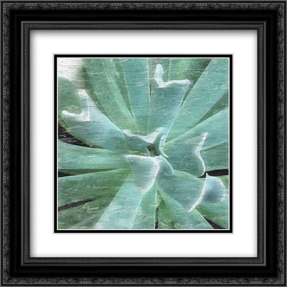 Succulent Memory 2 2x Matted 20x20 Black Ornate Framed Art Print by Pearson, Debbie
