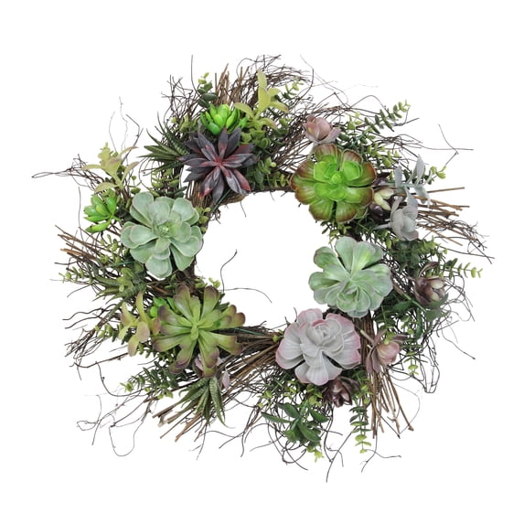 Succulent Mix Spiral Vine Artificial Wreath, 22-Inch